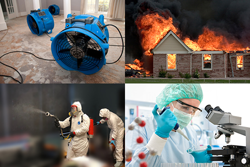 Fire, Water, and Disinfection Articles